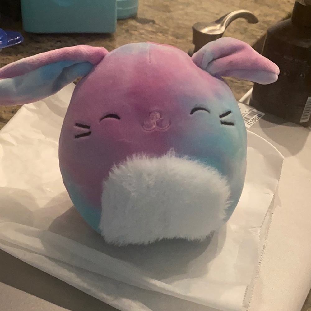 Squishmallow Ryder